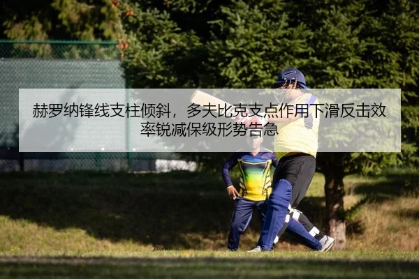 he-luo-na-feng-xian-zhi-zhu-qing-xie-duo-fu-bi-ke-zhi-dian-zuo-yong-xia-hua-fan-ji-xiao-lv-rui-jian-bao-ji-xing-shi-gao-2-810.jpg